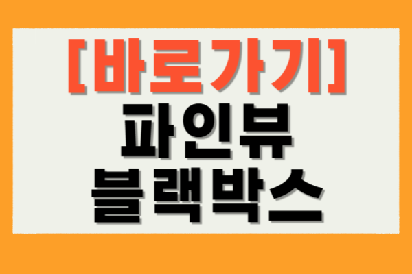 파인뷰 블랙박스 뷰어