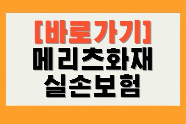 메리츠화재 실손보험