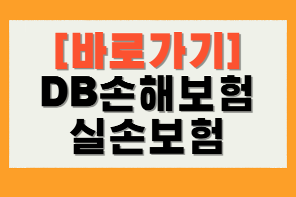 DB손해보험 실손