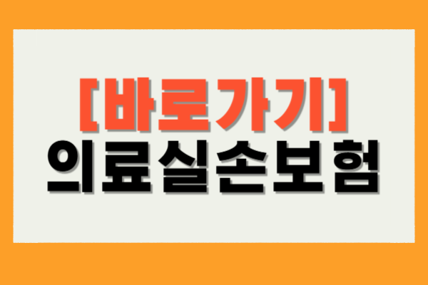 실손보험