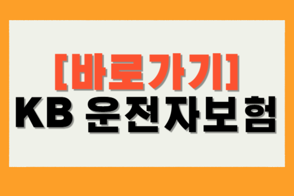 KB 운전자보험