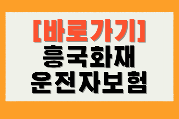 흥국화재 운전자보험