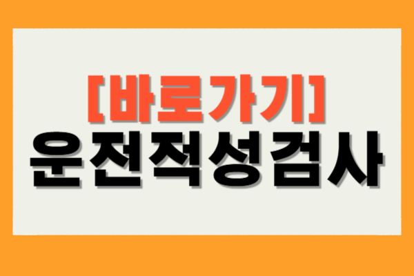 운전적성정밀검사