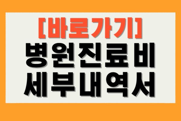 병원 진료비 세부내역서