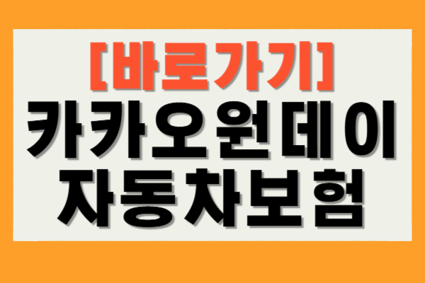 카카오 원데이 자동차보험