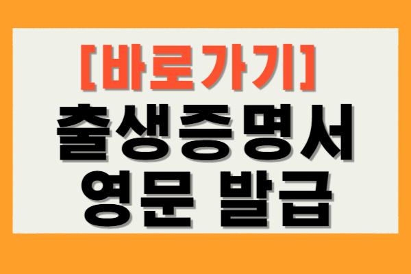 출생증명서 영문 발급