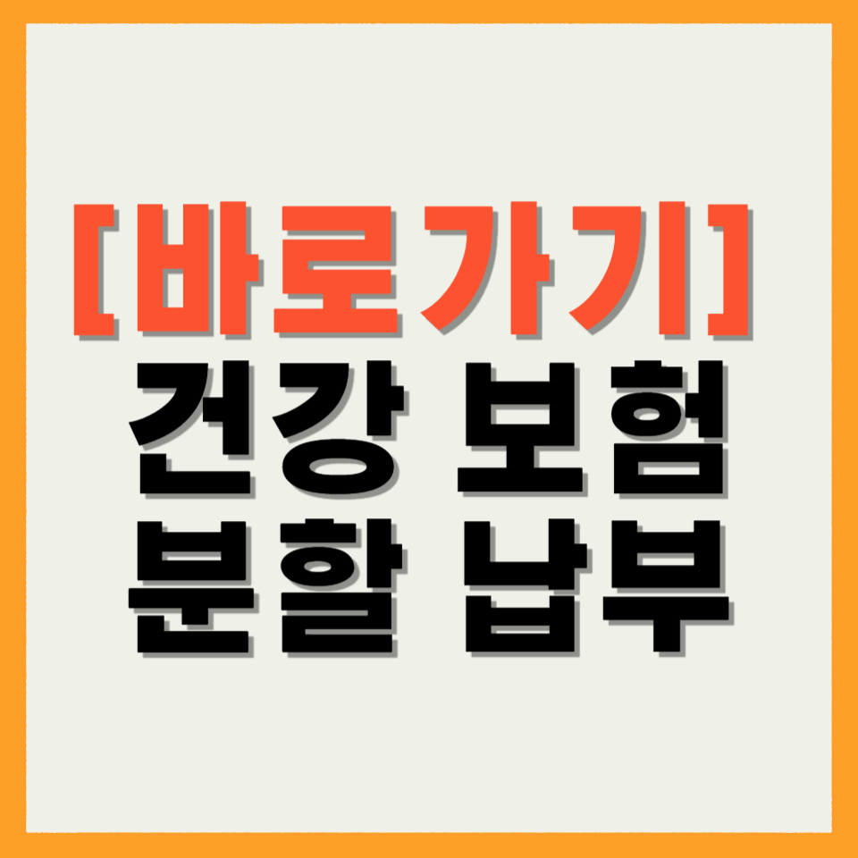 건강보험 분할납부