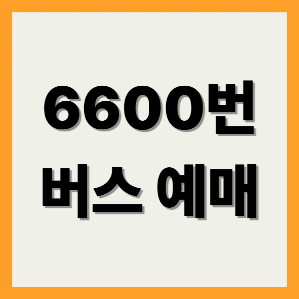6600번 버스 예매